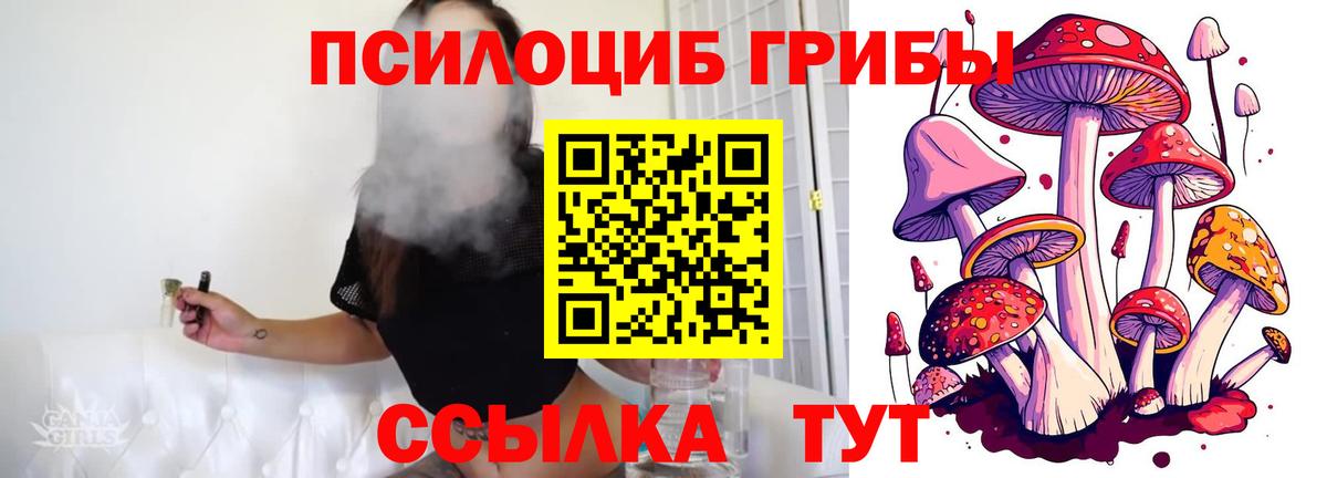 Галлюциногенные грибы MAGIC MUSHROOMS Тула